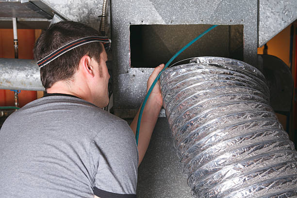 Air Duct Mold Removal in Urania, LA